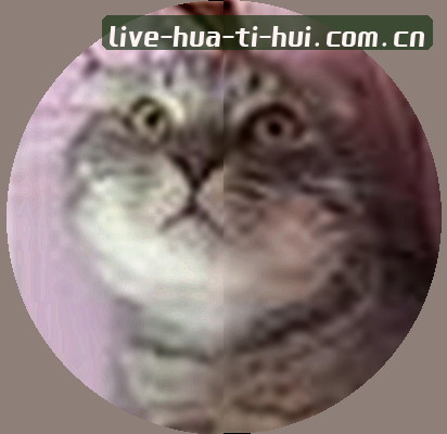赵阳